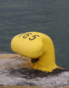 IMG_5850