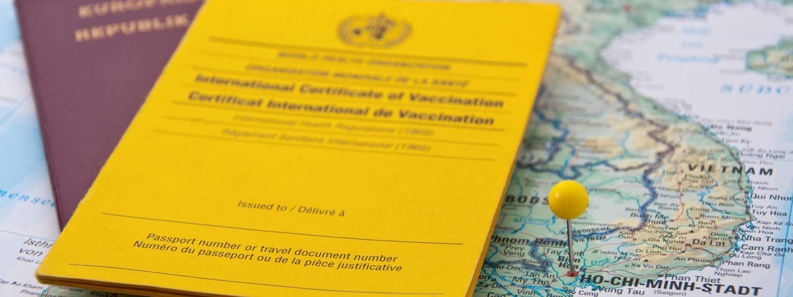 travel-vaccination-certificate_b