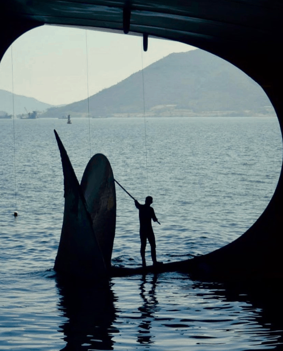 2. Propeller cleaning. Credits to Andrew the Kongo