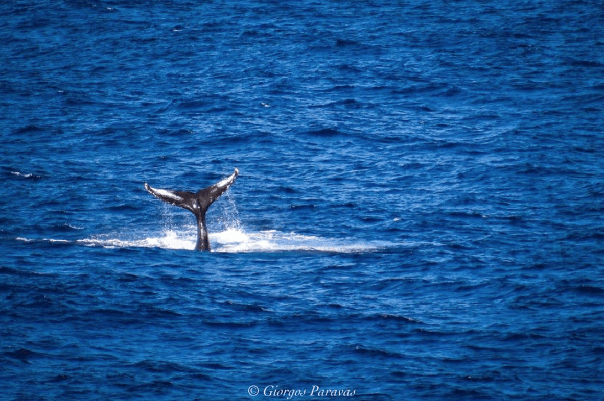 2. Saldanha Bay. Credits to Giorgos Paravas