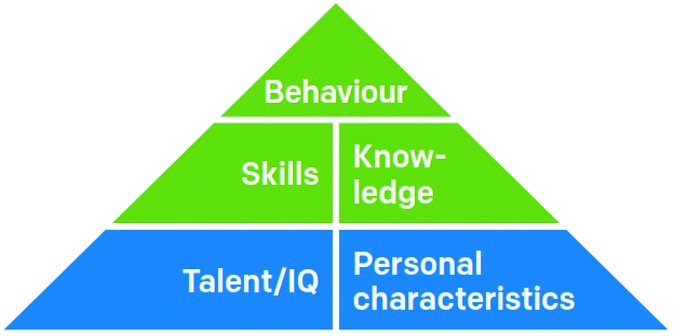 Danica competencies triangle