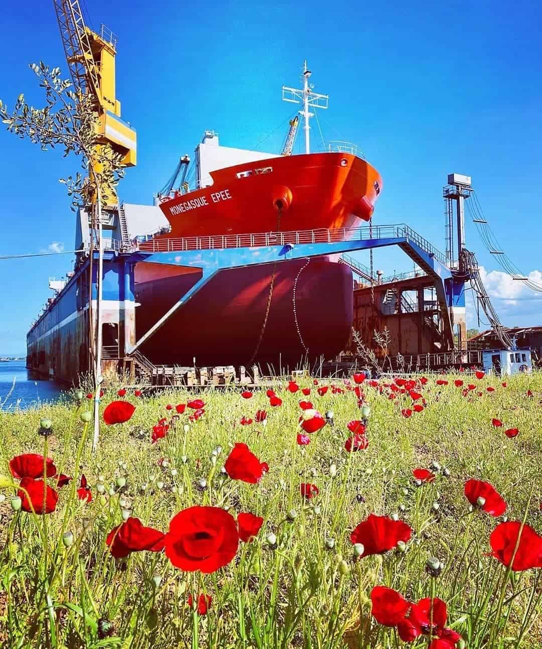 3. Spring is here. Credits to Vasso Kaperoni