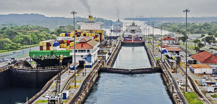 Κανάλι του Παναμά: Προτεραιότητα η προστασία των θαλάσσιων θηλαστικών