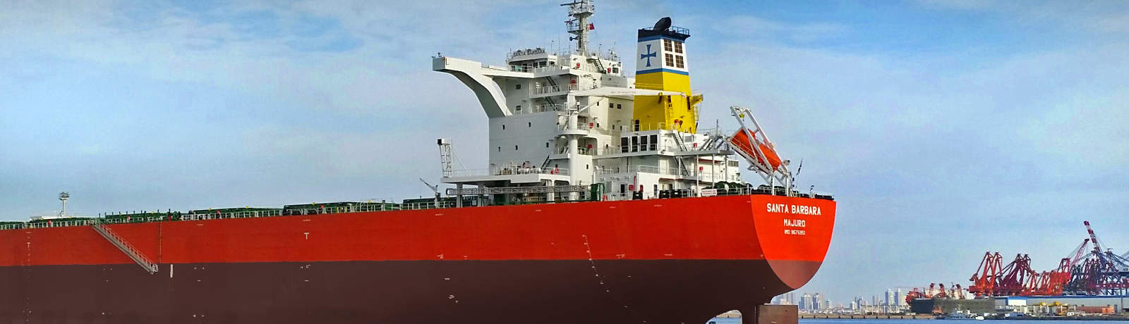 Diana Shipping Services