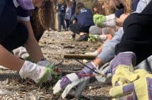 HELMEPA: 5.360 εθελοντές καθάρισαν την ελληνική ακτογραμμή