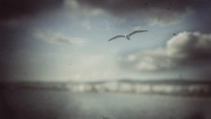20180519_181309-01-768x432