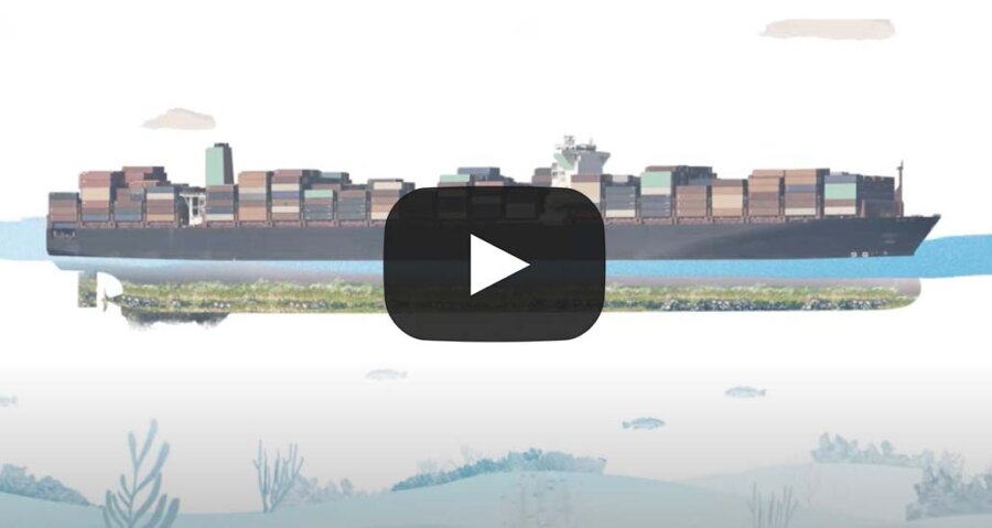 IMO: Σημαντική η συντήρηση των κυτών των πλοίων για τη μείωση των εκπομπών (Βίντεο)
