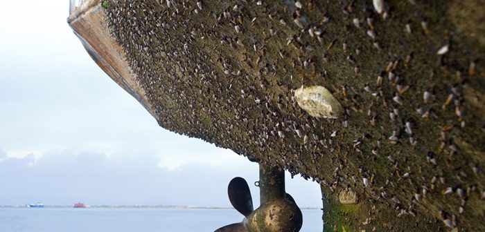 Όσα πρέπει να γνωρίζετε για το φαινόμενο της διάβρωσης