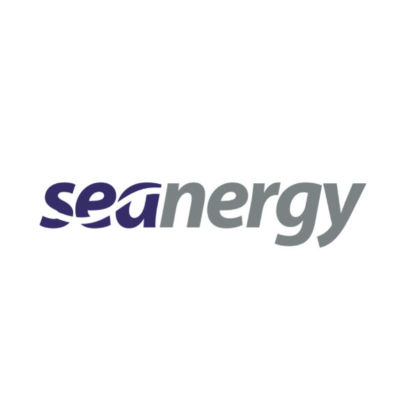 logo-Seanergy Maritime Holdings Corp.