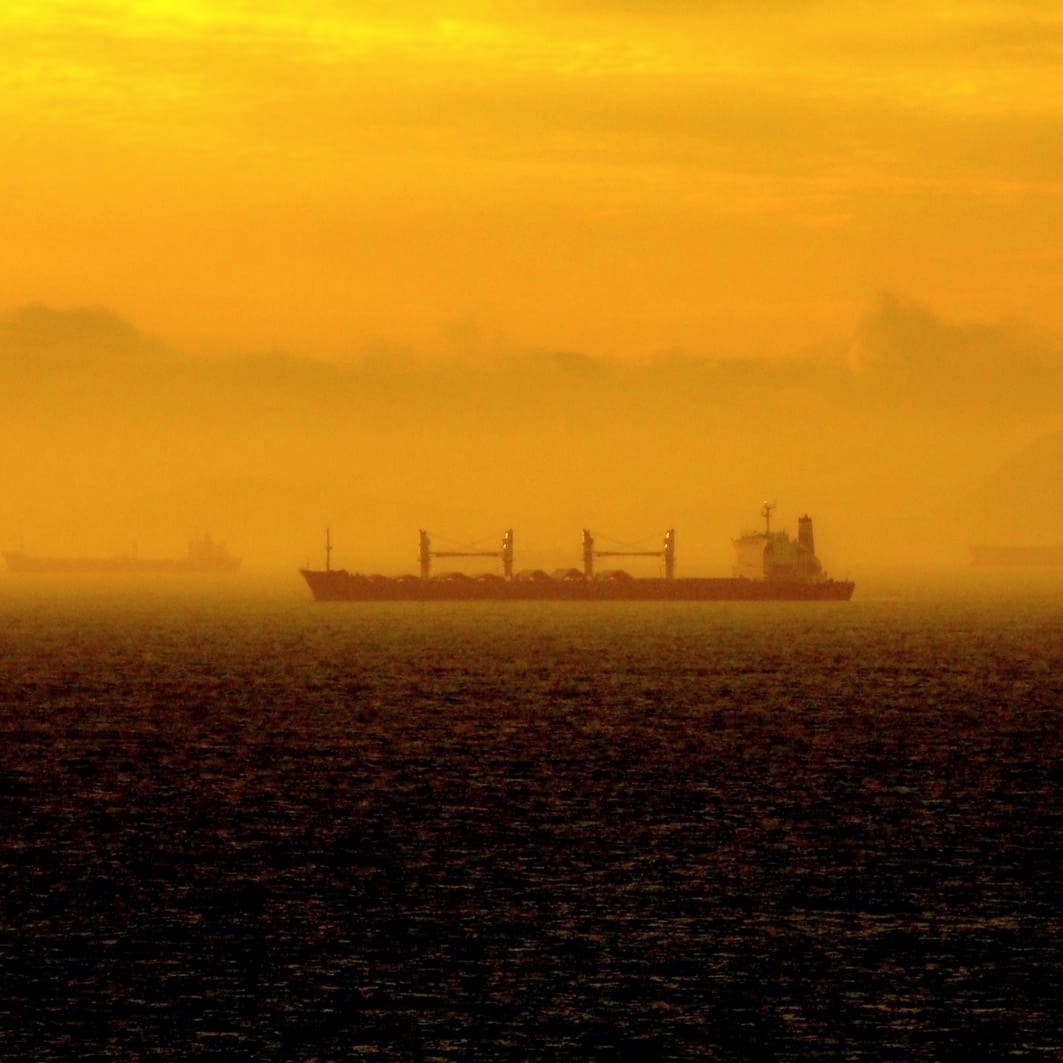 4. Bulk carriers at anchor with the sea mist, making a mystery scene Credits to November Sierra 